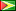 guyana Flag