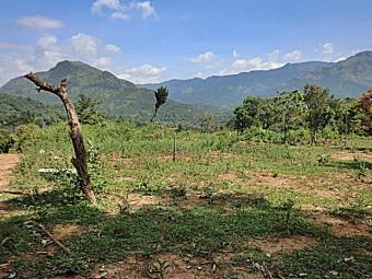 A  Land For sale in srilanka Belihuloya